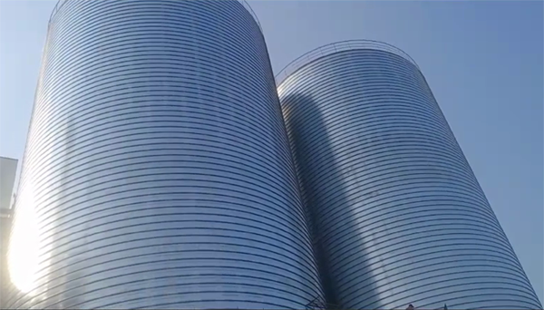 云梦2座混凝土高架卷板仓